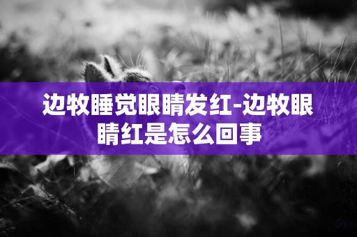 邊牧睡覺眼睛發紅-邊牧眼睛紅是怎么回事