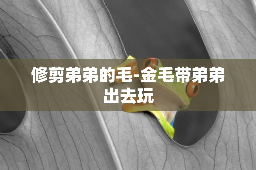 修剪弟弟的毛-金毛帶弟弟出去玩