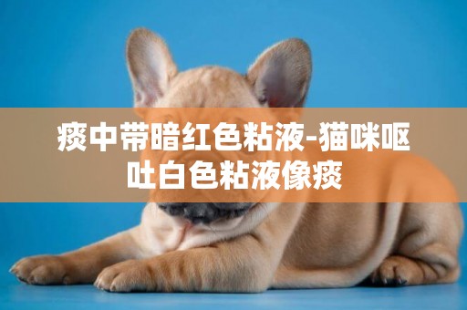 痰中帶暗紅色粘液-貓咪嘔吐白色粘液像痰
