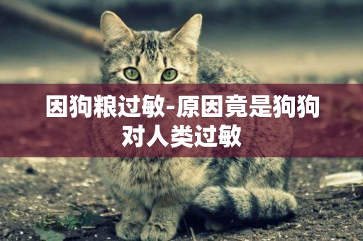 因狗糧過敏-原因竟是狗狗對人類過敏