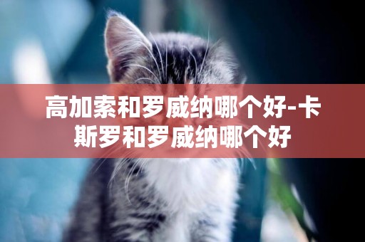 高加索和羅威納哪個好-卡斯羅和羅威納哪個好