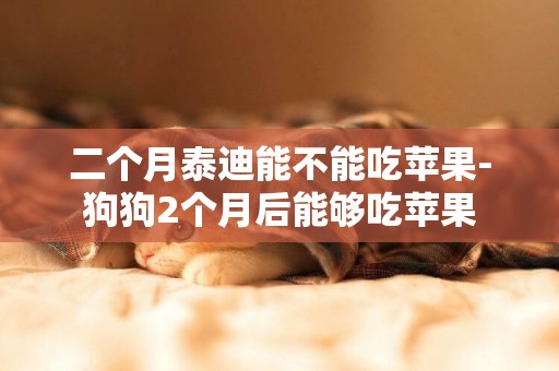 二個月泰迪能不能吃蘋果-狗狗2個月后能夠吃蘋果