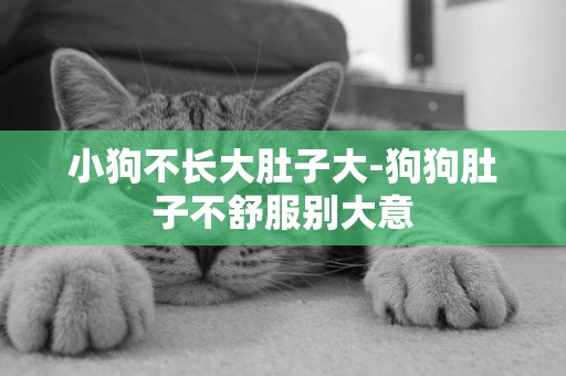 小狗不長大肚子大-狗狗肚子不舒服別大意