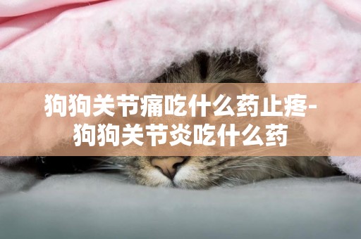 狗狗關節痛吃什么藥止疼-狗狗關節炎吃什么藥