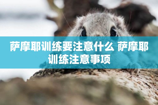 薩摩耶訓練要注意什么 薩摩耶訓練注意事項