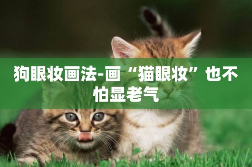 狗眼妝畫法-畫“貓眼妝”也不怕顯老氣