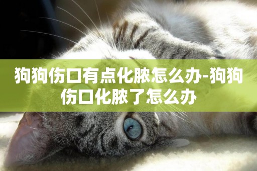 狗狗傷口有點化膿怎么辦-狗狗傷口化膿了怎么辦