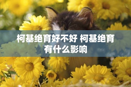 柯基絕育好不好 柯基絕育有什么影響