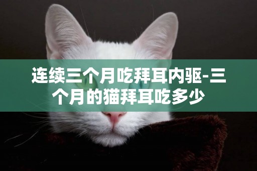 連續三個月吃拜耳內驅-三個月的貓拜耳吃多少