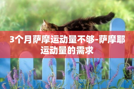 3個月薩摩運動量不夠-薩摩耶運動量的需求