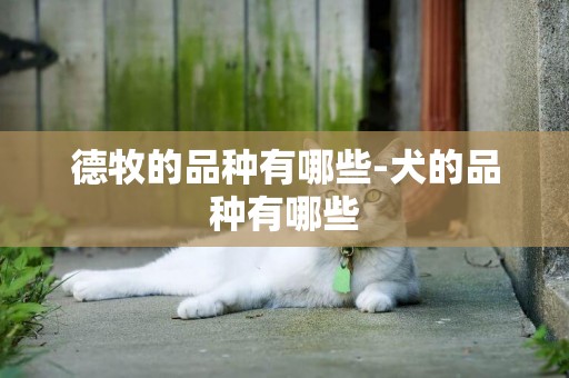 德牧的品種有哪些-犬的品種有哪些