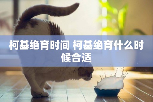 柯基絕育時間 柯基絕育什么時候合適