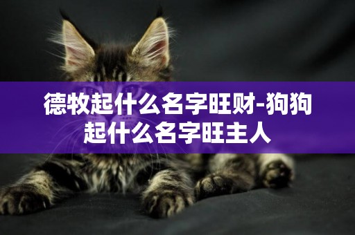 德牧起什么名字旺財-狗狗起什么名字旺主人
