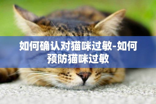 如何確認對貓咪過敏-如何預防貓咪過敏
