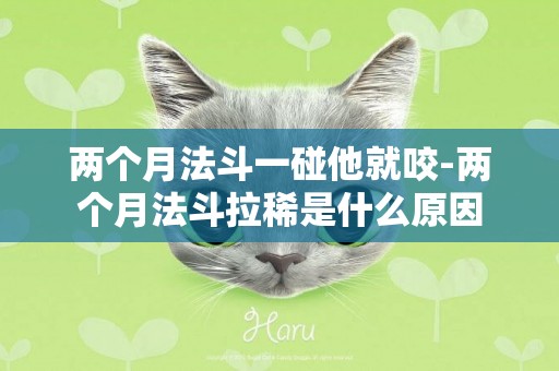 兩個月法斗一碰他就咬-兩個月法斗拉稀是什么原因