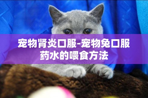 寵物腎炎口服-寵物兔口服藥水的喂食方法