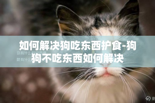 如何解決狗吃東西護食-狗狗不吃東西如何解決