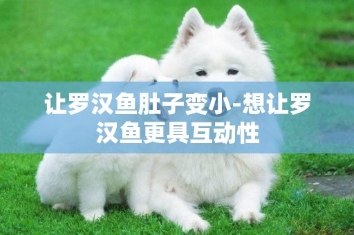讓羅漢魚肚子變小-想讓羅漢魚更具互動性