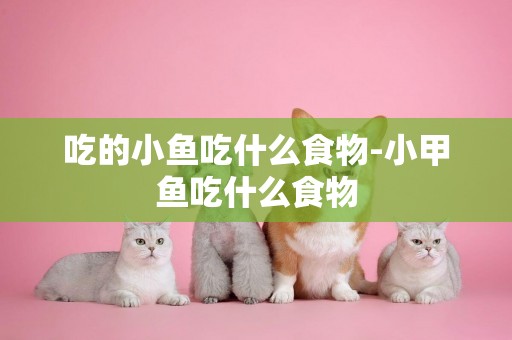 吃的小魚吃什么食物-小甲魚吃什么食物