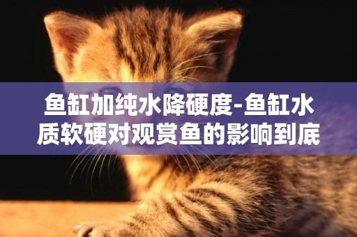 魚缸加純水降硬度-魚缸水質軟硬對觀賞魚的影響到底有多大