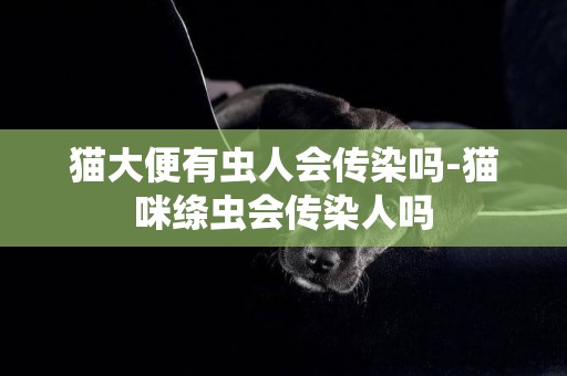 貓大便有蟲人會傳染嗎-貓咪絳蟲會傳染人嗎