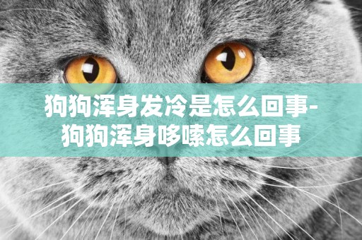 狗狗渾身發冷是怎么回事-狗狗渾身哆嗦怎么回事