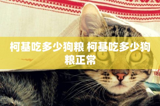 柯基吃多少狗糧 柯基吃多少狗糧正常