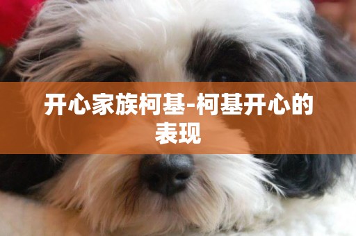 開心家族柯基-柯基開心的表現