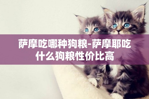 薩摩吃哪種狗糧-薩摩耶吃什么狗糧性價比高