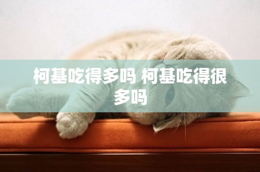 柯基吃得多嗎 柯基吃得很多嗎
