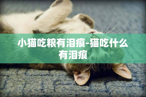 小貓吃糧有淚痕-貓吃什么有淚痕