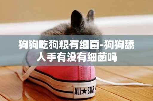 狗狗吃狗糧有細菌-狗狗舔人手有沒有細菌嗎