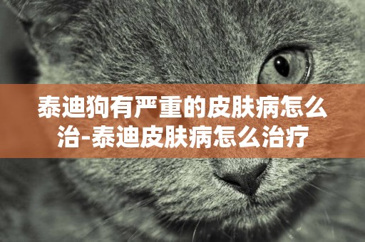 泰迪狗有嚴重的皮膚病怎么治-泰迪皮膚病怎么治療