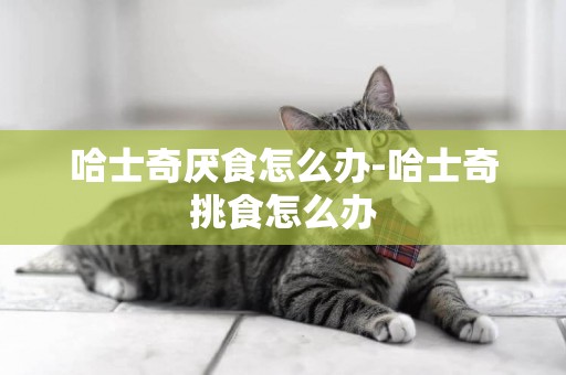 哈士奇厭食怎么辦-哈士奇挑食怎么辦