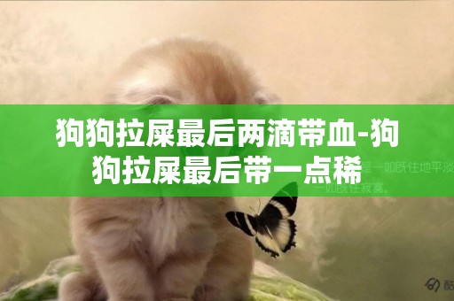 狗狗拉屎最后兩滴帶血-狗狗拉屎最后帶一點稀
