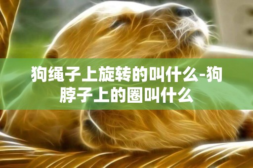 狗繩子上旋轉的叫什么-狗脖子上的圈叫什么