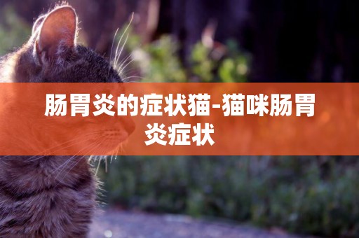 腸胃炎的癥狀貓-貓咪腸胃炎癥狀
