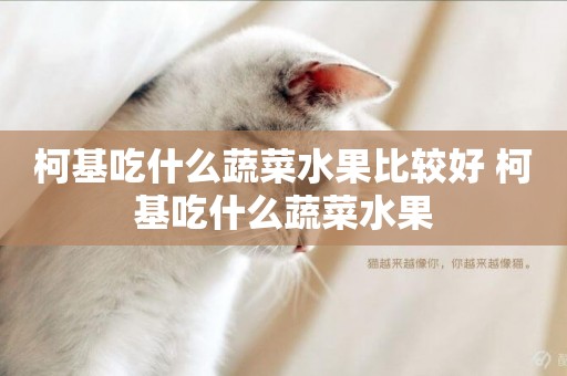 柯基吃什么蔬菜水果比較好 柯基吃什么蔬菜水果