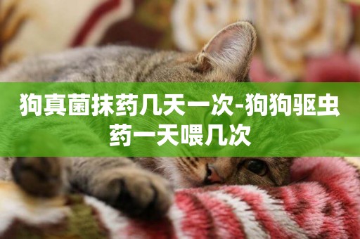 狗真菌抹藥幾天一次-狗狗驅蟲藥一天喂幾次