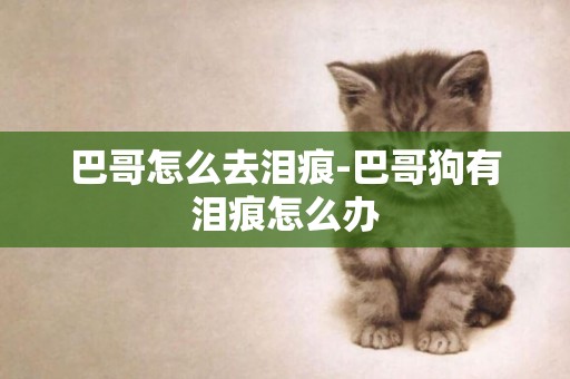 巴哥怎么去淚痕-巴哥狗有淚痕怎么辦