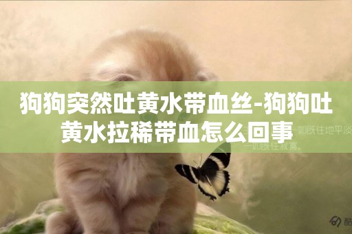 狗狗突然吐黃水帶血絲-狗狗吐黃水拉稀帶血怎么回事