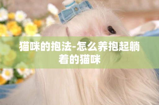 貓咪的抱法-怎么養抱起躺著的貓咪
