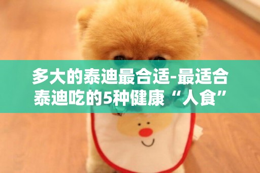 多大的泰迪最合適-最適合泰迪吃的5種健康“人食”