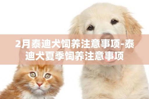 2月泰迪犬飼養注意事項-泰迪犬夏季飼養注意事項