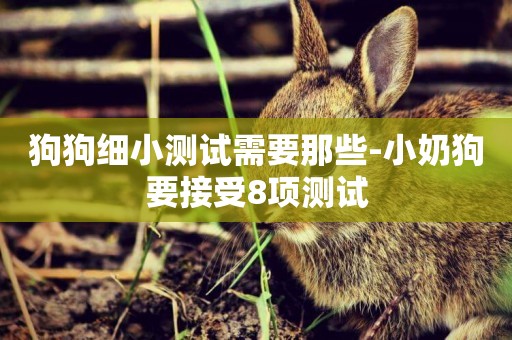 狗狗細小測試需要那些-小奶狗要接受8項測試