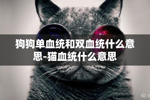 狗狗單血統和雙血統什么意思-貓血統什么意思