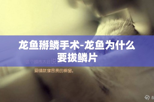 龍魚掰鱗手術-龍魚為什么要拔鱗片