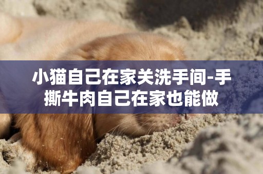 小貓自己在家關洗手間-手撕牛肉自己在家也能做