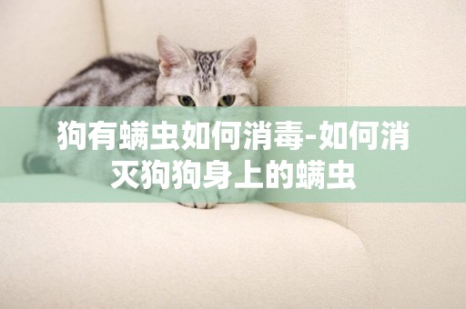 狗有螨蟲如何消毒-如何消滅狗狗身上的螨蟲