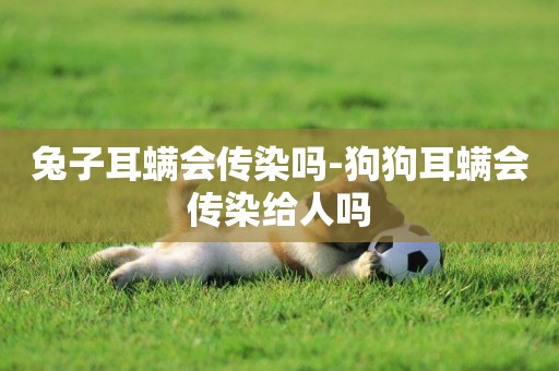 兔子耳螨會傳染嗎-狗狗耳螨會傳染給人嗎